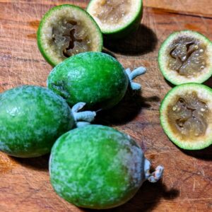 Feijoa (Assianir, CC BY-SA 4.0 , via Wikimedia Commons)
