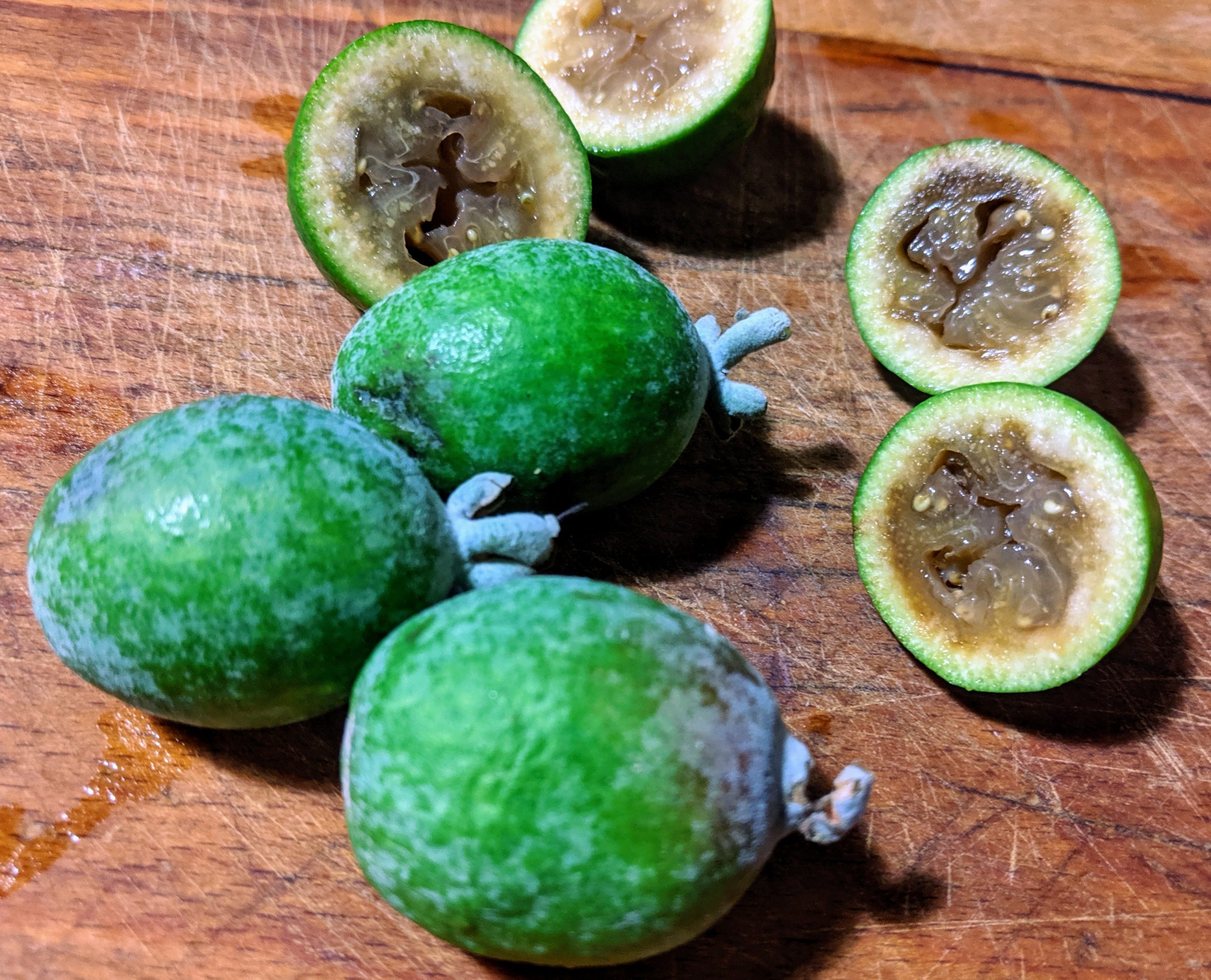 Feijoa (Assianir, CC BY-SA 4.0 , via Wikimedia Commons)