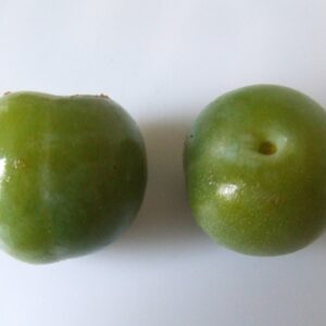 Prune reine claude verte (Hans B., CC BY-SA 3.0 , via Wikimedia Commons)