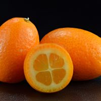 Kumquat ovale (Ivar Leidus, CC BY-SA 4.0 , via Wikimedia Commons)