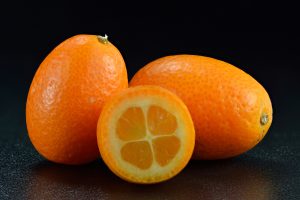 Kumquat ovale (Ivar Leidus, CC BY-SA 4.0 , via Wikimedia Commons)