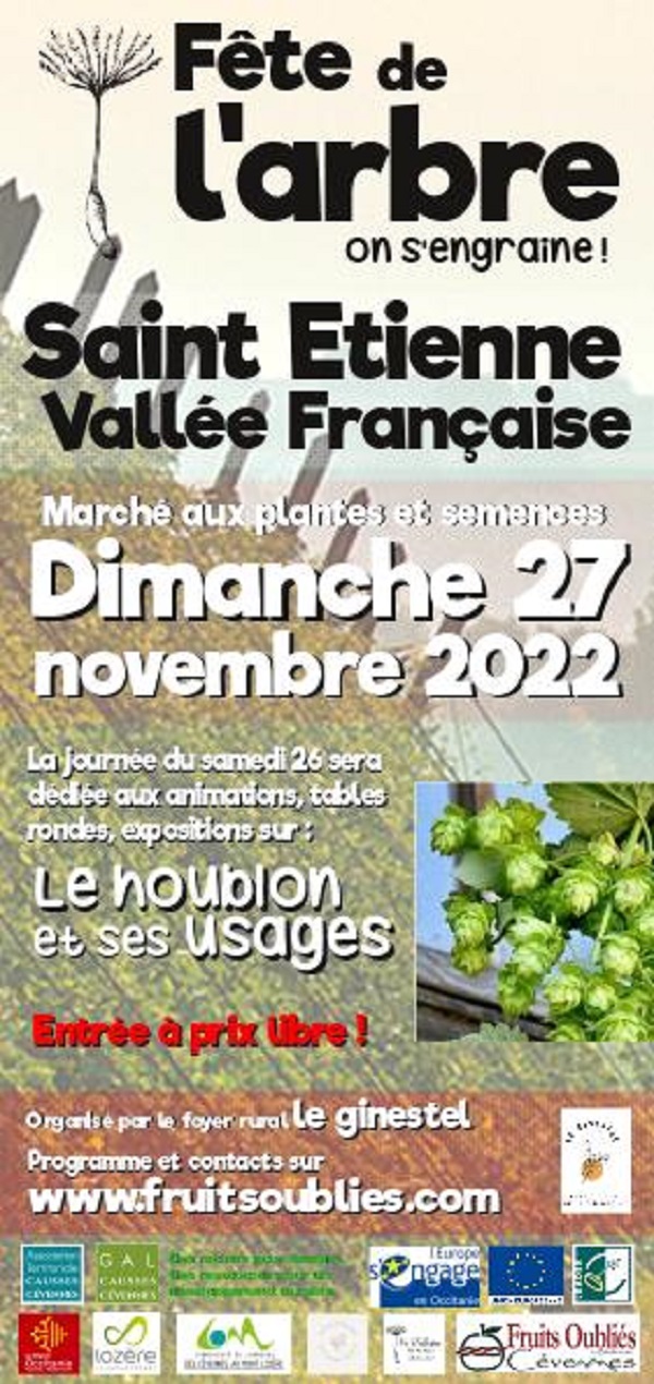 affiche saint etienne vallée française