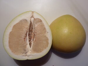 citrus maxima Honey (© Salix / Wikimedia Commons)