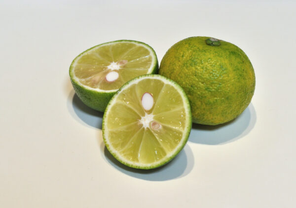 Citrus_sudachi (Ocdp, CC0, via Wikimedia Commons)