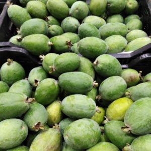feijoa selec (Susomoinhos, CC BY-SA 4.0 , via Wikimedia Commons)