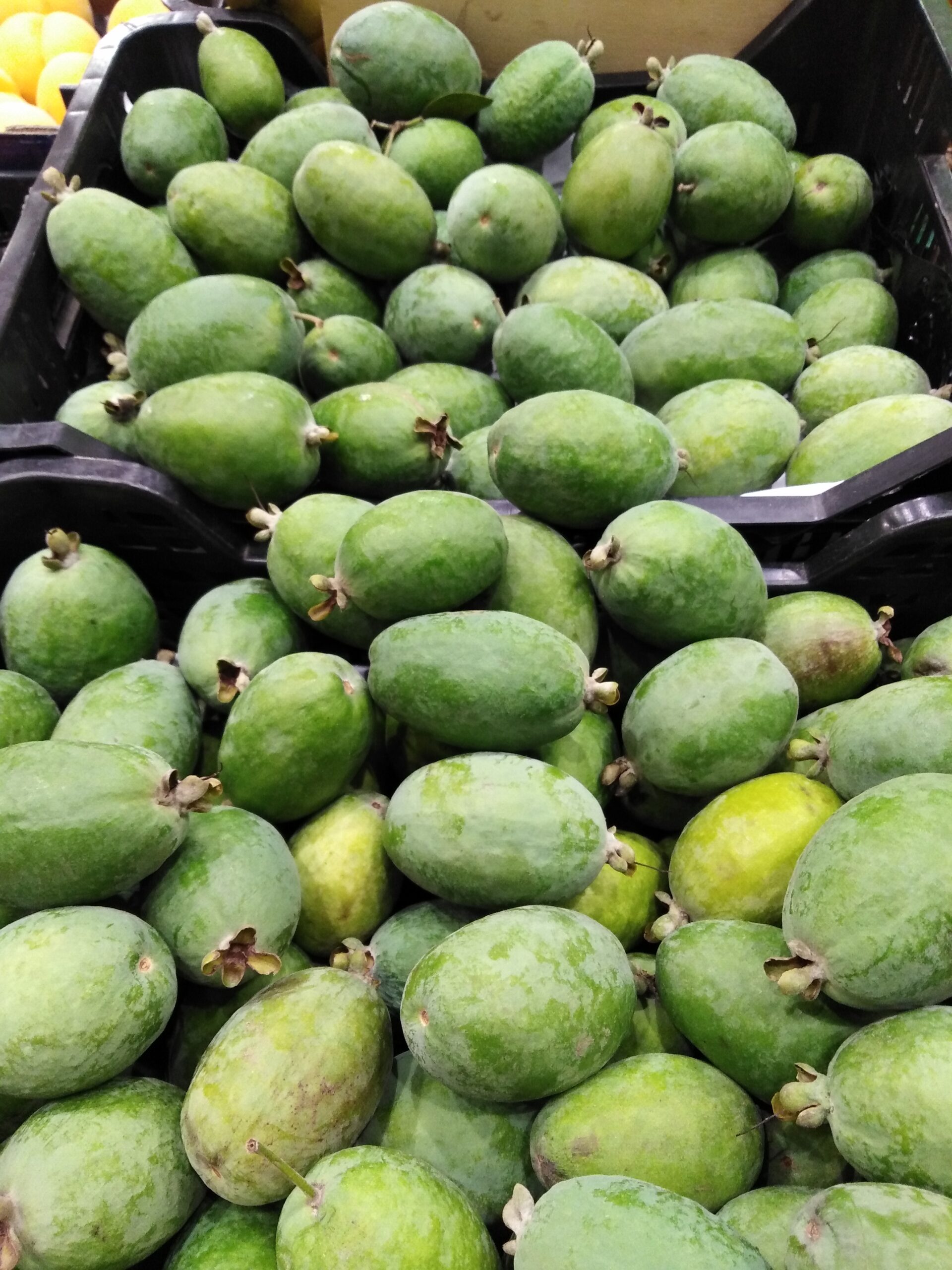 feijoa selec (Susomoinhos, CC BY-SA 4.0 , via Wikimedia Commons)