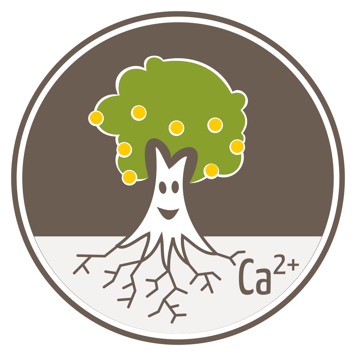 Calcicole