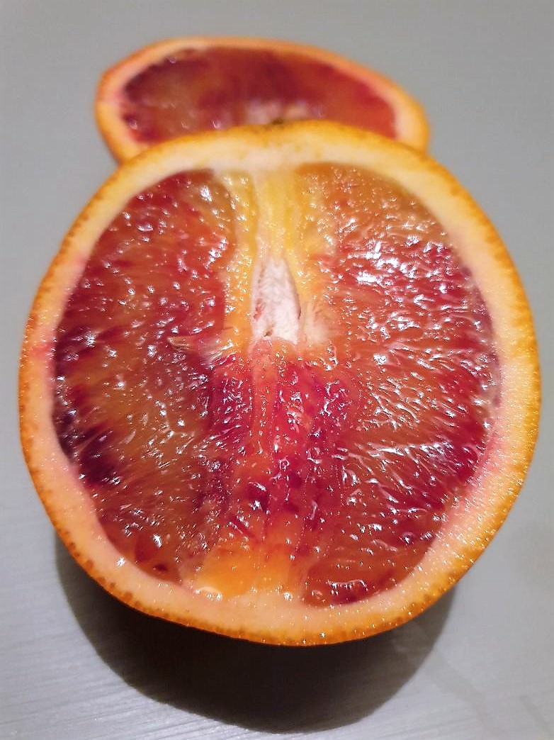 oranger fragola (Emőke Dénes, CC BY-SA 4.0 , via Wikimedia Commons)