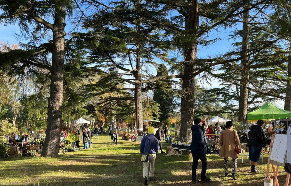 fête de l'arbre Carcassonne