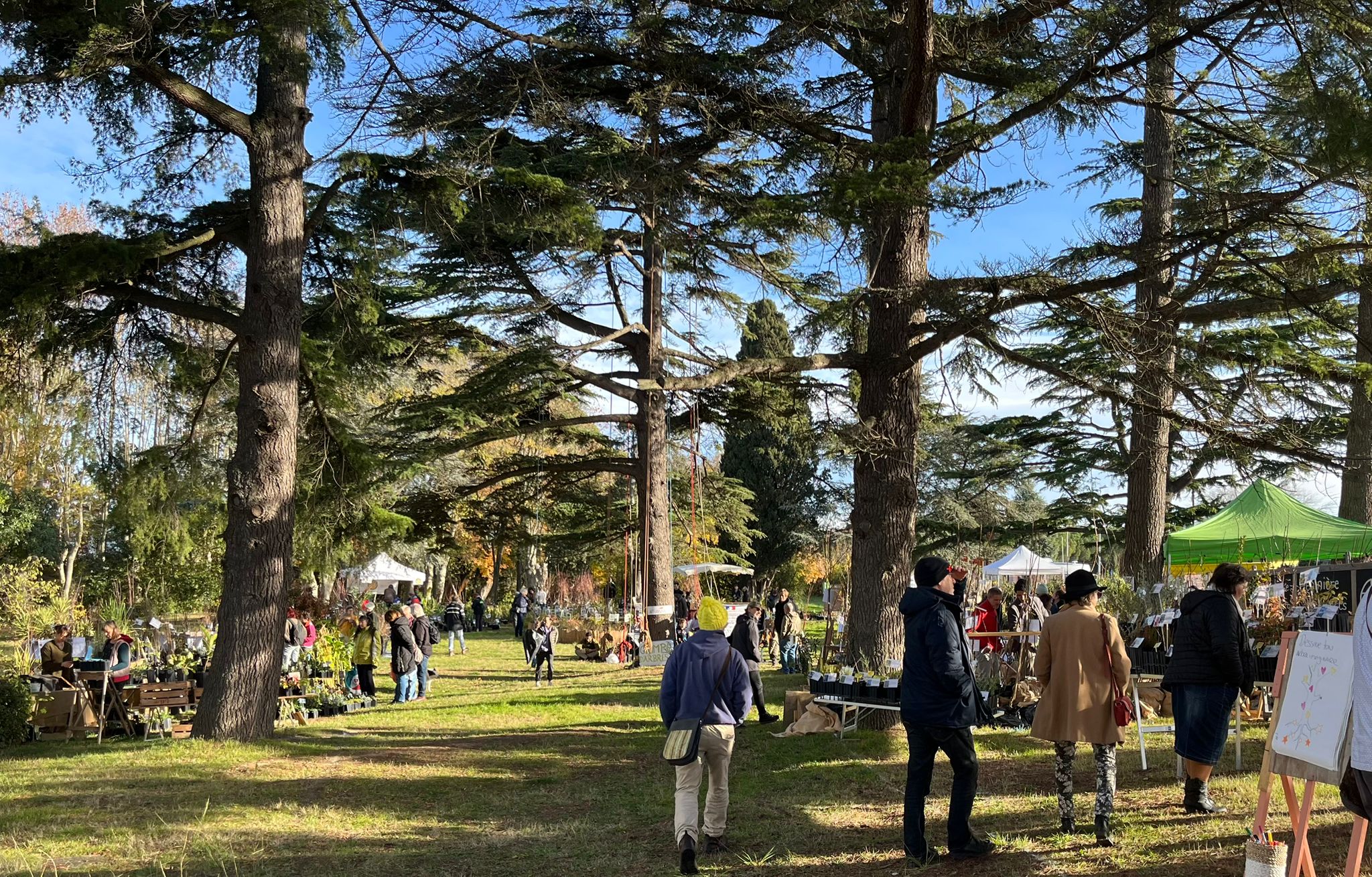 2026 : Fête de l’Arbre à Carcassonne (11000)